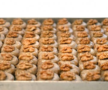 Cevizli Bülbül Yuvası